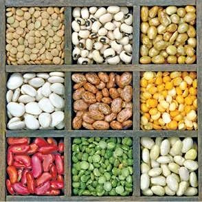 പവർഫുള്ളാകും ഇനി പയറുവർഗ കൃഷി