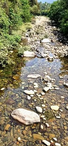 മലയോരത്ത് പുഴകൾ വറ്റിവരളുന്നു; കുടിവെള്ളക്ഷാമം രൂക്ഷമാകുന്നു, വന്യജീവികൾ കാടിറങ്ങുമെന്ന് ആശങ്ക