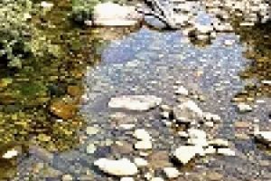 മലയോരത്ത് പുഴകൾ വറ്റിവരളുന്നു; കുടിവെള്ളക്ഷാമം രൂക്ഷമാകുന്നു, വന്യജീവികൾ കാടിറങ്ങുമെന്ന് ആശങ്ക