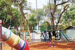 പട്ടാമ്പി ഓർച്ചാഡിൽ ഓക്‌സിജൻപാർക്ക് പണി അവസാനഘട്ടത്തിൽ