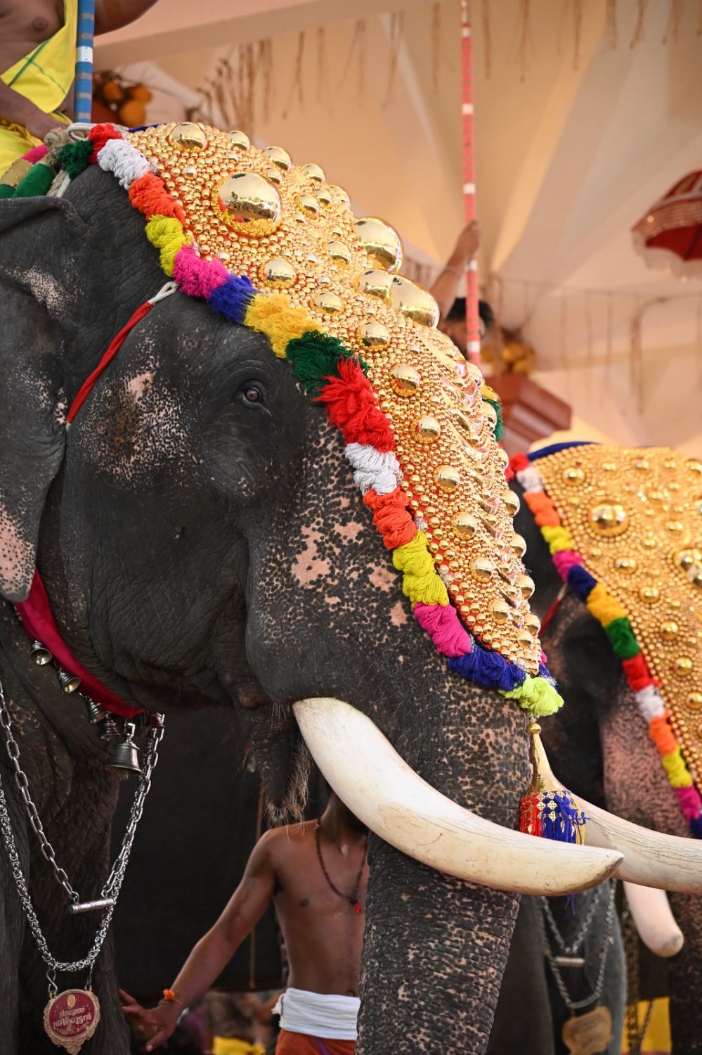 whatsapp-image-2026-03-05-at-10.54.30-pm