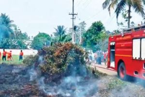 വേനൽച്ചൂടേറി, തീപ്പിടിത്തവും