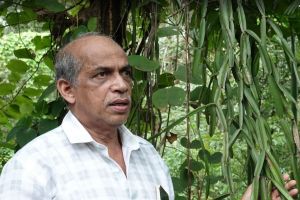 പ്രകൃതിയുടെ വരദാനം: തീരാവ്യാധികൾക്ക് പാരമ്പര്യ ആയുർവേദത്തിന്റെ സാന്ത്വനവുമായി കെ. തങ്കച്ചൻ വൈദ്യർ വടകരയിൽ