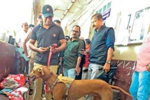 കൊല്ലത്തെ കോടതികളിൽ 'സയനൈഡ് ബോംബ് ഭീഷണി