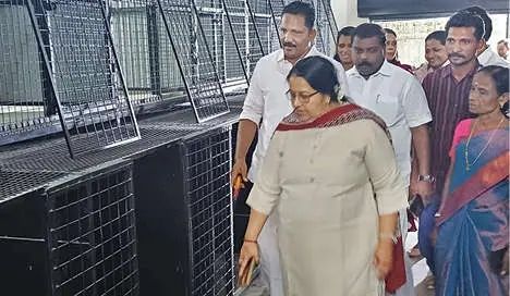 തെരുവുനായ്ക്കൾക്ക് 'ഹോസ്റ്റൽ' തൃക്കാക്കര നഗരസഭയുടെ ഷെൽട്ടർ തുറന്നു