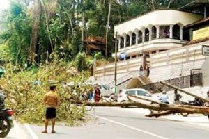 റോഡിലേക്ക് വീണ മരം മുറിച്ചുനീക്കി നാട്ടുകാർ