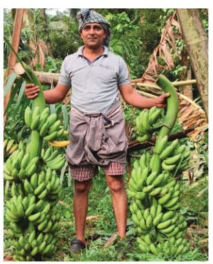 ഭക്ഷ്യശ്രീയുടെ അഭിനന്ദനങ്ങൾ:  മണ്ണറിഞ്ഞ കൃഷിക്ക് വൻ വിജയം!