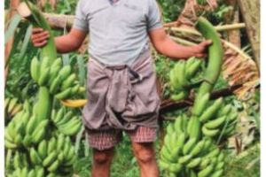 ഭക്ഷ്യശ്രീയുടെ അഭിനന്ദനങ്ങൾ:  മണ്ണറിഞ്ഞ കൃഷിക്ക് വൻ വിജയം!