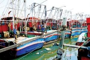 മത്സ്യബന്ധന മേഖല സ്‌തംഭനത്തിലേക്ക്