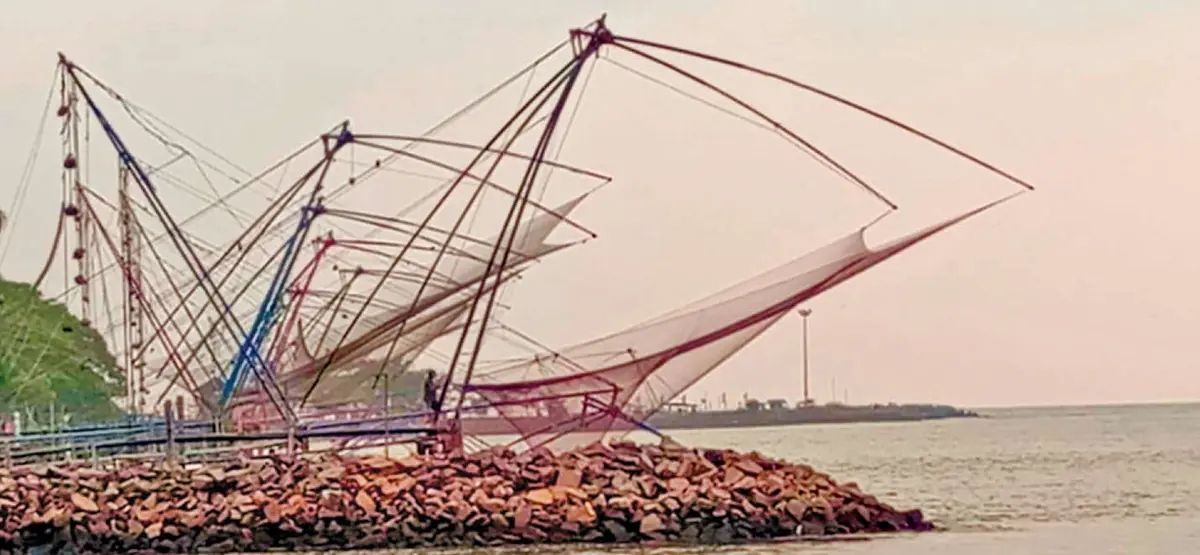 മത്സ്യങ്ങൾ കുറഞ്ഞു കാഴ്‌ചവസ്‌തുവായി ചീനവലകൾ...