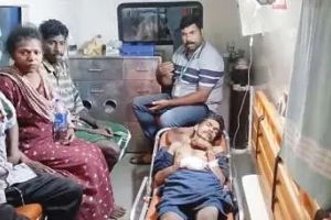 കർഷകത്തൊഴിലാളിക്കുനേരേ കാട്ടാനയുടെ ആക്രമണം