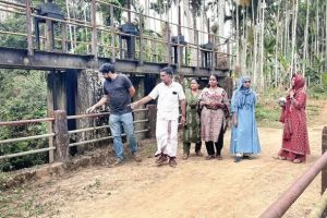 ചെറുവാടി പുഞ്ചപ്പാടം ഇനി പൂർണ്ണമായും കതിരണിയും; ഹൈഡ്രോളിക് ഷട്ടർ സംവിധാനം വരുന്നു