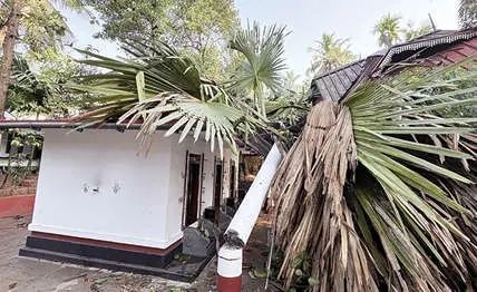 പെരുമണ്ണയിൽ കനത്ത കാറ്റിലും മഴയിലും വ്യാപക നാശനഷ്ടം: വീടുകളും കൃഷിയും തകർന്നു