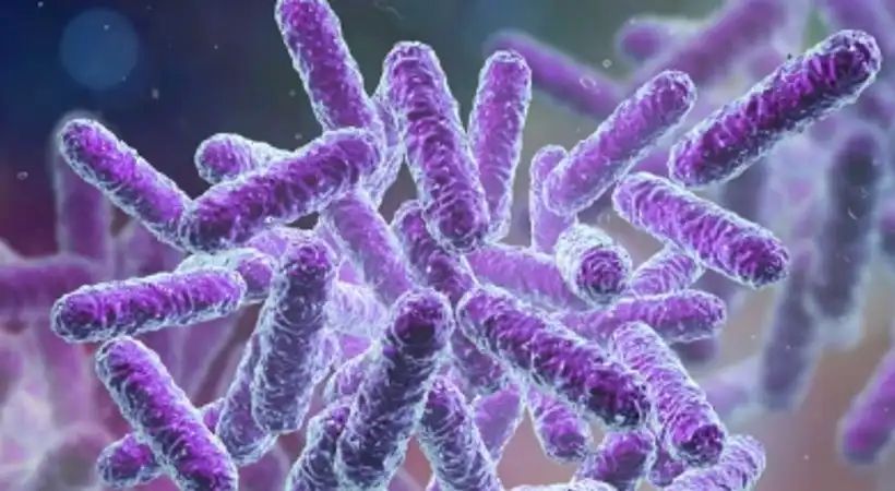 കുറ്റിക്കാട്ടൂരിൽ ഷിഗല്ല ബാധിച്ച് മരണം: കൂടുതൽ കുട്ടികൾക്ക് രോഗലക്ഷണം; പ്രതിരോധം ശക്തമാക്കി ആരോഗ്യവകുപ്പ്