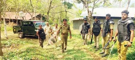 വന്യജീവി മലമാനിനെയും കുഞ്ഞിനെയും കൊന്നുതിന്നു