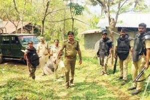 വന്യജീവി മലമാനിനെയും കുഞ്ഞിനെയും കൊന്നുതിന്നു