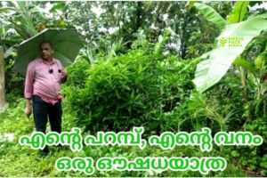 എന്റെ പറമ്പ്,  എന്റെ വനം: ﻿ ഒരു ഔഷധയാത്ര