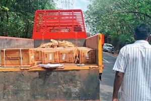 വെളിനല്ലൂരിൽ ലോറിയിൽ കടത്തിയ 4,000 ജലാറ്റിൻ സ്റ്റിക്കുകൾ പിടികൂടി