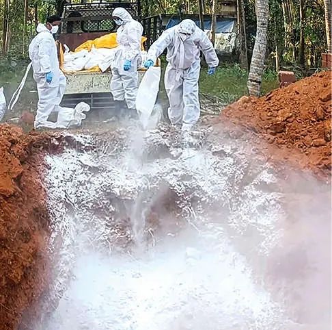 പക്ഷിപ്പനി പ്രതിരോധം: കോഴിക്കോട് ജില്ലയിൽ പക്ഷികളെ കൊന്നൊടുക്കൽ നടപടികൾ പൂർത്തിയായി