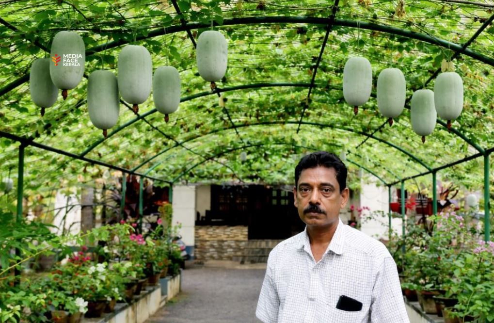 ചോമ്പാൽ ഹാർബ്ബറിനു സമീപം ഭക്ഷ്യകൃഷി സമൃദ്ധി :ദിവാകരൻ ചോമ്പാല