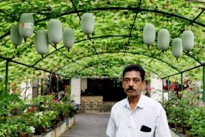 ചോമ്പാൽ ഹാർബ്ബറിനു സമീപം ഭക്ഷ്യകൃഷി സമൃദ്ധി :ദിവാകരൻ ചോമ്പാല