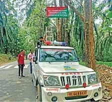 വന്യമൃഗങ്ങളുടെ ചിത്രമെടുക്കൽ, കർശനനടപടിയുമായി വനംവകുപ്പ്