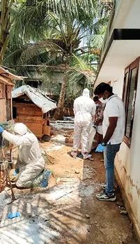 കോഴിക്കോട് പക്ഷിപ്പനി: മുപ്പതിനായിരത്തിലേറെ പക്ഷികളെ കൊന്നൊടുക്കി; മനുഷ്യരിലെ സാംപിൾ പരിശോധനാഫലം നെഗറ്റീവ്