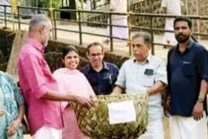 മാതൃകയായി കായണ്ണ ഭഗവതിക്ഷേത്രം ആറാട്ടുത്സവം; ഇത്തവണ ഹരിതപ്രോട്ടക്കോൾ പാലിച്ച് ആഘോഷം