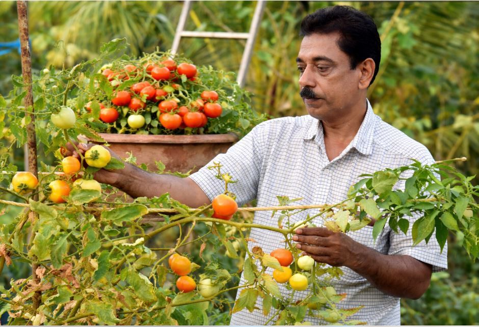 vismaya-balakrishnan-cover4