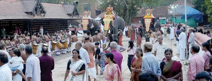 പൂരലഹരിയിൽ ലോകനാർകാവ്