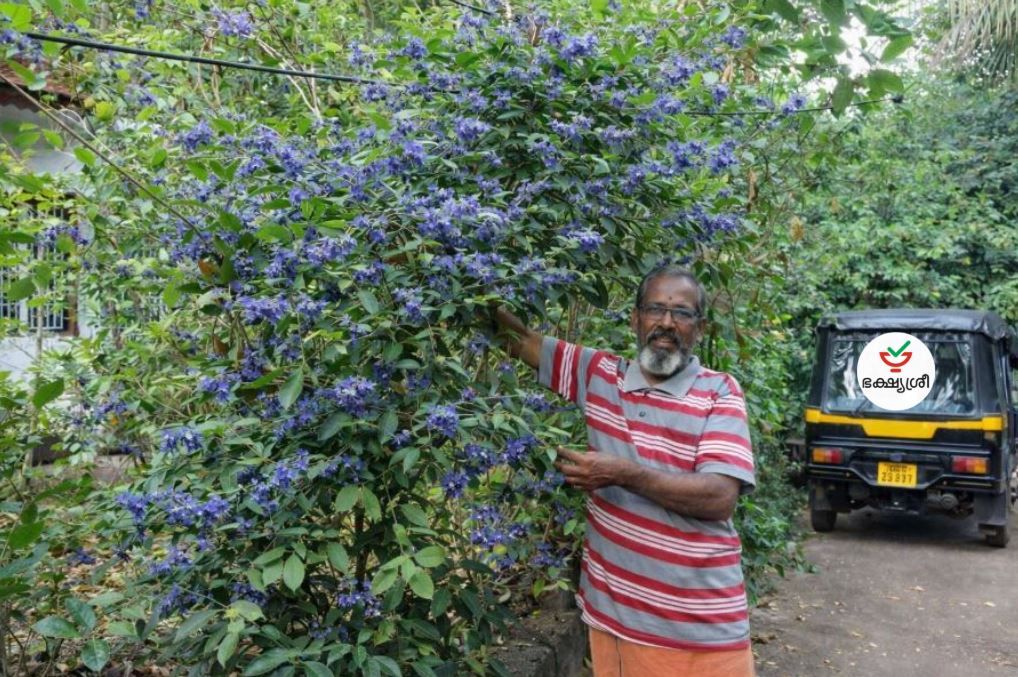 prakasha-with-auto-cover