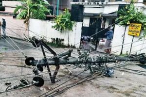 രാമനാട്ടുകരയിൽ ശക്തമായ കാറ്റിലും മഴയിലും തെങ്ങ് കടപുഴകി; വൈദ്യുതത്തൂണുകൾ തകർന്നു