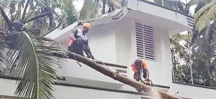 കുറ്റ്യാടി മലയോര മേഖലയിൽ കനത്ത വേനൽമഴയും കാറ്റും; വ്യാപക കൃഷിനാശവും നാശനഷ്ടങ്ങളും