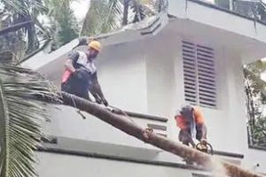 കുറ്റ്യാടി മലയോര മേഖലയിൽ കനത്ത വേനൽമഴയും കാറ്റും; വ്യാപക കൃഷിനാശവും നാശനഷ്ടങ്ങളും