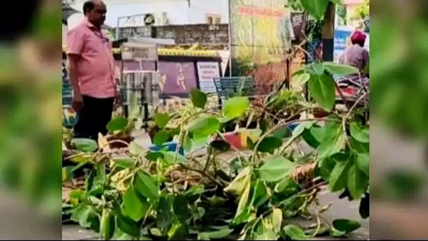 കൊയിലാണ്ടിയിൽ ഓടിക്കൊണ്ടിരുന്ന ബൈക്കിന് മുകളിൽ മരക്കൊമ്പ് വീണു; യുവാവിന് ഗുരുതര പരിക്ക്