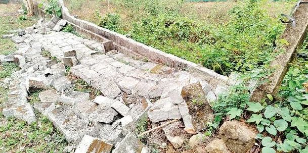 ജനവാസ മേഖലയിൽ കാട്ടാനശല്യം രൂക്ഷം