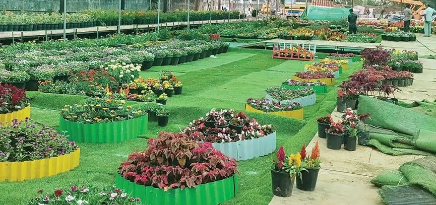 തേക്കടിയിൽ ഇനി പൂക്കാലം...