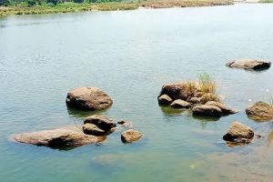 വേനൽ കടുക്കുന്നു: ഭാരതപ്പുഴയിൽ ജലനിരപ്പ് താഴോട്ട്