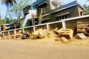 വടകര റെയിൽവേ സ്റ്റേഷൻ റോഡിൽ മുറിച്ചിട്ട മരത്തടികൾ യാത്രക്കാർക്ക് ഭീഷണിയാകുന്നു