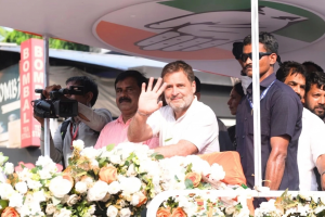 ശബരിമലയിലെ കൊള്ളയെക്കുറിച്ച് മോദി മിണ്ടുന്നില്ല; കൊയിലാണ്ടിയിൽ ആവേശമായി രാഹുൽ ഗാന്ധിയുടെ റോഡ് ഷോ