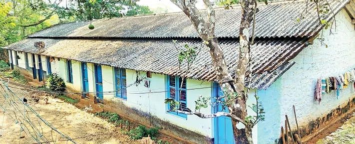 വെള്ളിക്കുളങ്ങരയിൽ കാട്ടാനശല്യം രൂക്ഷം; പാഡികൾ ഉപേക്ഷിച്ച് തൊഴിലാളികൾ