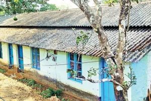 വെള്ളിക്കുളങ്ങരയിൽ കാട്ടാനശല്യം രൂക്ഷം; പാഡികൾ ഉപേക്ഷിച്ച് തൊഴിലാളികൾ