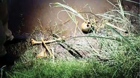 ഭാരതപ്പുഴയിലെ കാറ്റാടിക്കടവിൽ തലയോട്ടിയും അസ്ഥികളും