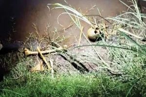 ഭാരതപ്പുഴയിലെ കാറ്റാടിക്കടവിൽ തലയോട്ടിയും അസ്ഥികളും