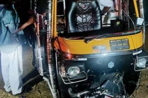 കാട്ടുപന്നിയിടിച്ച് ഓട്ടോറിക്ഷ മറിഞ്ഞു: കുഞ്ഞടക്കം ഒരു കുടുംബത്തിലെ അഞ്ചുപേർക്ക് പരിക്ക്