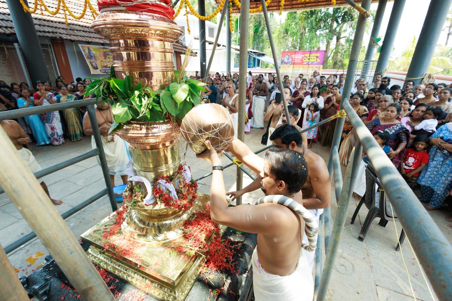 whatsapp-image-2026-04-04-at-10.27.52-pm