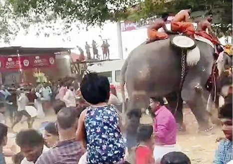 നെന്മാറ-വല്ലങ്ങി വേല എഴുന്നള്ളത്തിനിടെ ആനയിടഞ്ഞ് എട്ടുപേർക്ക് പരിക്ക്