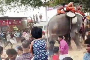 നെന്മാറ-വല്ലങ്ങി വേല എഴുന്നള്ളത്തിനിടെ ആനയിടഞ്ഞ് എട്ടുപേർക്ക് പരിക്ക്