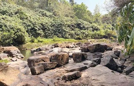 വേനൽമഴ ദുർബലം; മലയോരമേഖല ജലക്ഷാമത്തിലേക്ക്