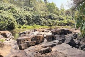വേനൽമഴ ദുർബലം; മലയോരമേഖല ജലക്ഷാമത്തിലേക്ക്